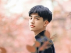 超感人的同志小说：花开无声