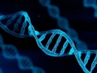 研究发现：某些 HIV 感染者能在停药后控制病毒长达 25 年之久 ...