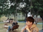 一只帅气的小狼狗